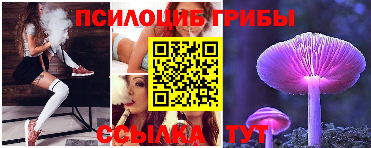 Галлюциногенные грибы GOLDEN TEACHER Южно-Сахалинск