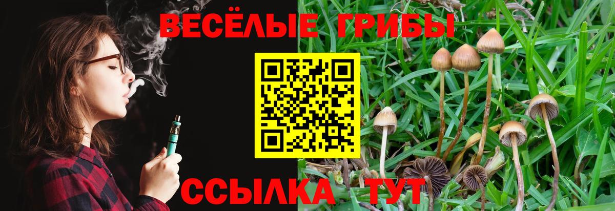 Псилоцибиновые грибы Cubensis  Вход с VPN  Южно-Сахалинск 